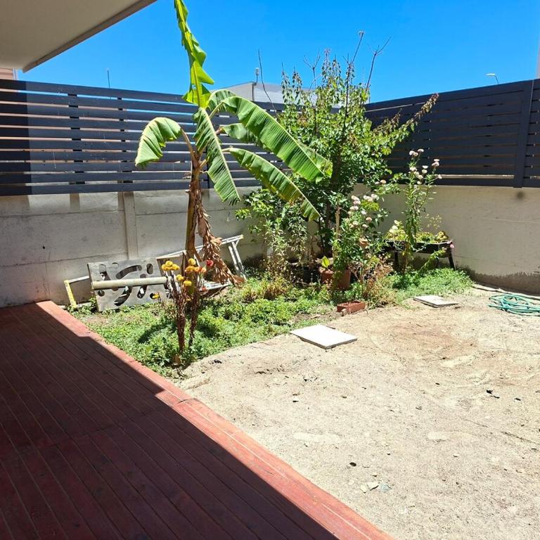 House for rent in Caldera - One-Bedroom House - 4