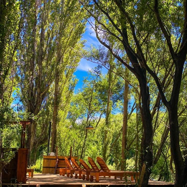 La Merced Patagonia lodge - Chalet de 1 dormitorio - 11
