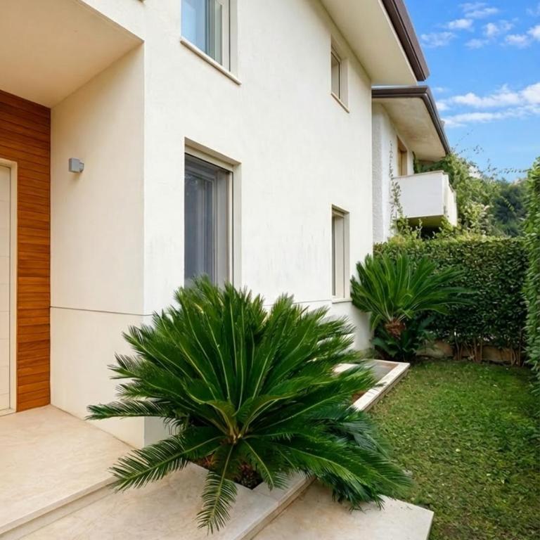 Villa Morin, Forte dei Marmi - Villa - 46