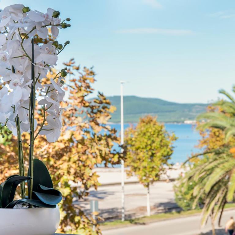 Sole & Mare - Terrazza fronte mare - Two-Bedroom Apartment - 31