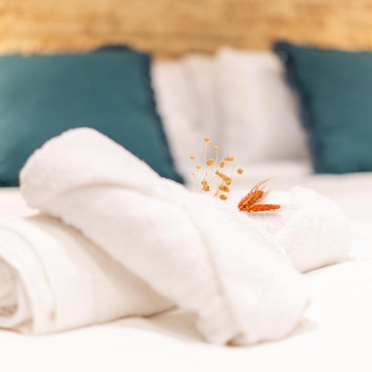 Pickman Suites - Apartamento - 14