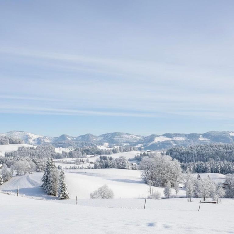 Bergnest Lodge mit Bergblick - Ca 3 min Skilift - Balkon - Garten - 6 Pers - Hund - Luftkurort - nähe Buchenegger Wasserfälle - Eistobel - Bodensee - Apartment mit 1 Schlafzimmer - 51