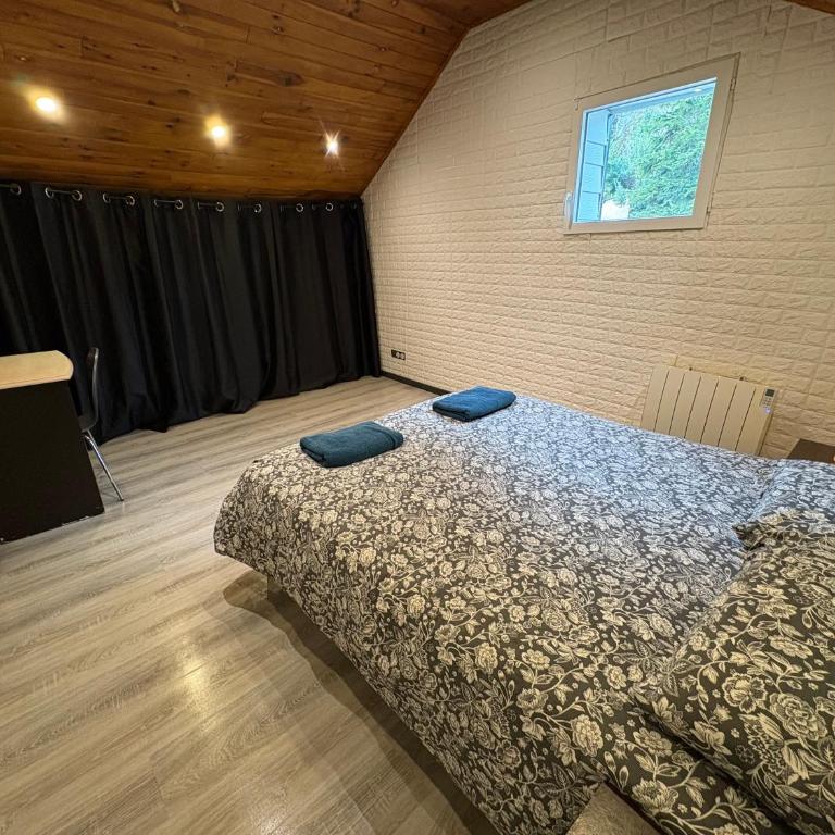 Au pied du château T3 - Two-Bedroom Apartment - 13
