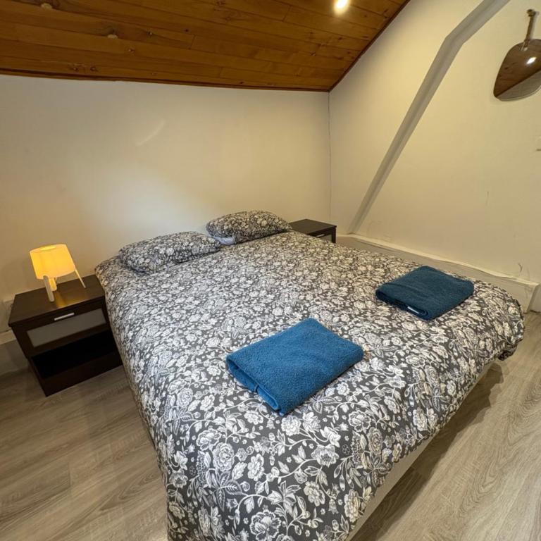 Au pied du château T3 - Two-Bedroom Apartment - 12