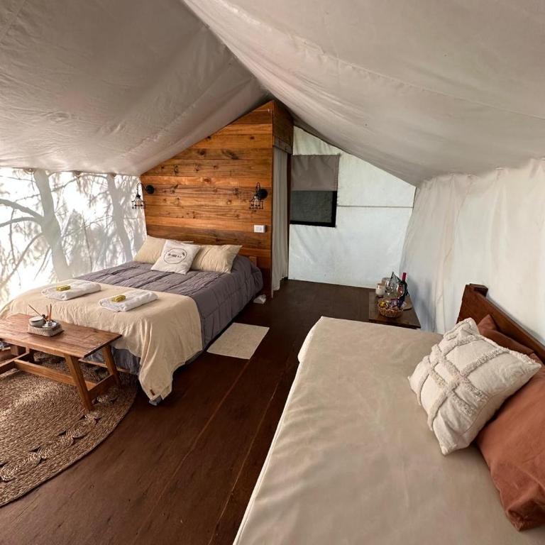 moraycamp - Comfort Quadruple Room - 1