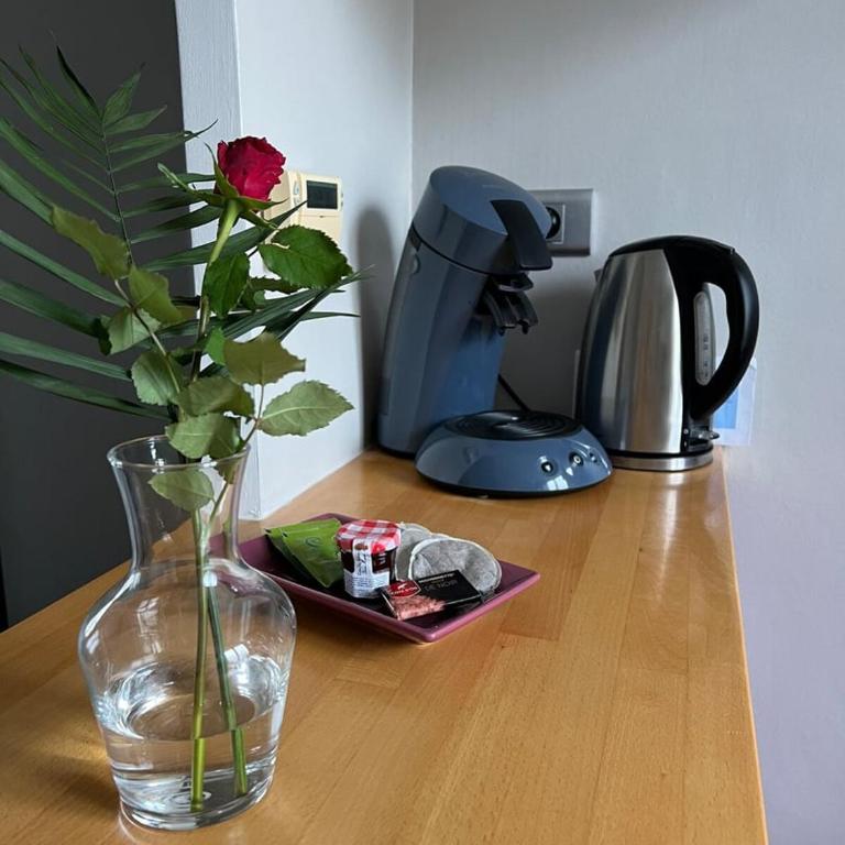 Chaleureux appart, proche de La Loire avec parking - Apartment mit 1 Schlafzimmer - 8