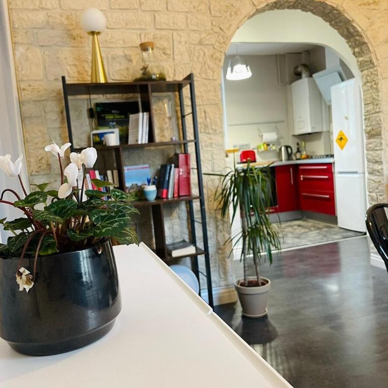 Chaleureux appart, proche de La Loire avec parking - Apartment mit 1 Schlafzimmer - 4