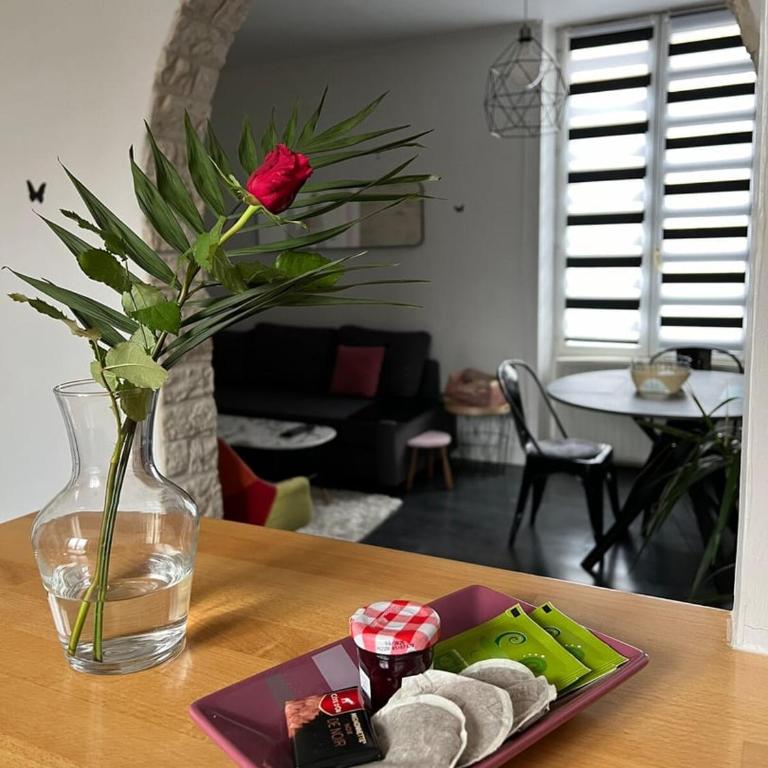 Chaleureux appart, proche de La Loire avec parking - Apartment mit 1 Schlafzimmer - 9