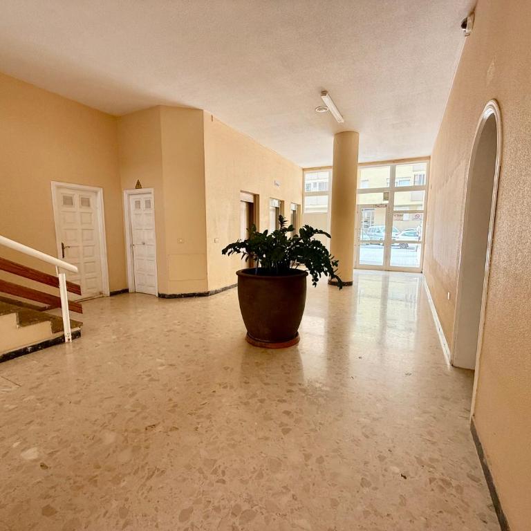 Oceanside Apartment in El Medano - Apartamento de 1 dormitorio - 22