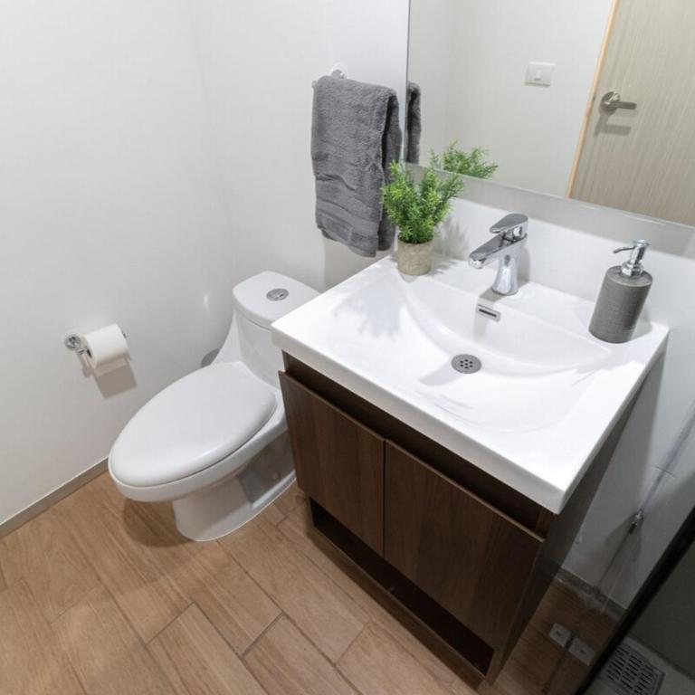 Oasis Urbano in Guadalajara - Apartamento - 3