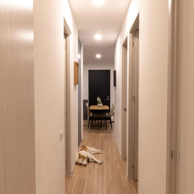 Oasis Urbano in Guadalajara - Apartamento - 38