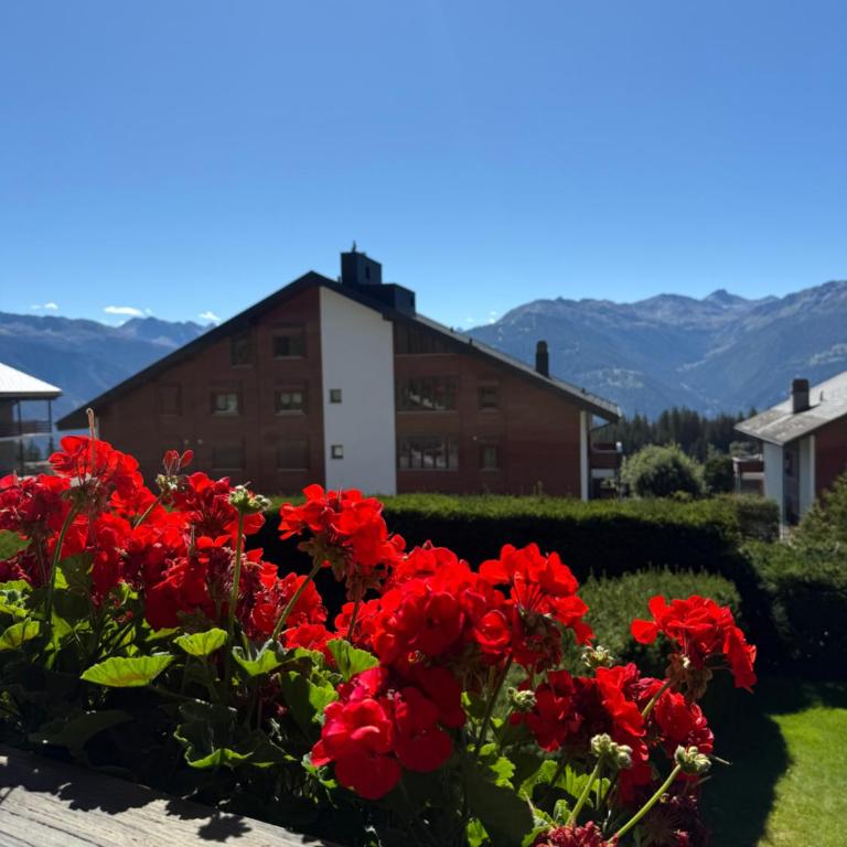 Cosy Apartment Lac de la Moubra - Apartment mit 1 Schlafzimmer - 19