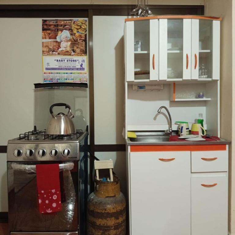 Departamento Céntrico - Apartamento de 2 dormitorios - 2