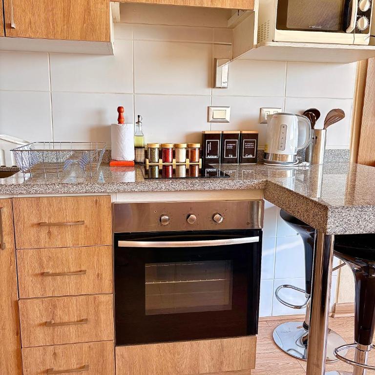 DEPARTAMENTO PREMIUM en Chillán Centro, full equipado, cómodo, con estacionamiento, factura para empresas, wifi de alta velocidad - One-Bedroom Apartment - 17