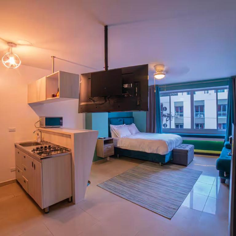 Granada Loft - Apartamento de 1 dormitorio - 2