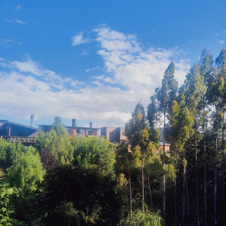 Depto premium 2D2B con parking y cerca del Lago - Two-Bedroom Apartment - 18