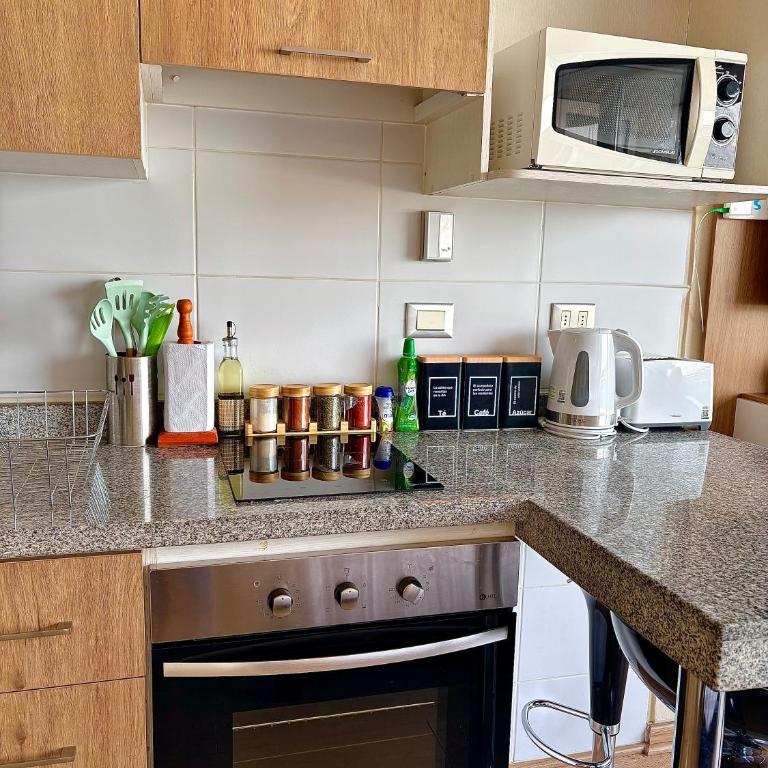 DEPARTAMENTO ACOGEDOR Y TRANQUILO en Chillán Centro, full equipado, ideal para descansar, Wifi y Estacionamiento - One-Bedroom Apartment - 40