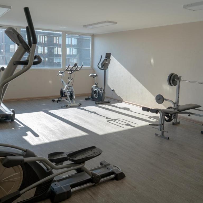 DEPARTAMENTO ACOGEDOR Y TRANQUILO en Chillán Centro, full equipado, ideal para descansar, Wifi y Estacionamiento - One-Bedroom Apartment - 24