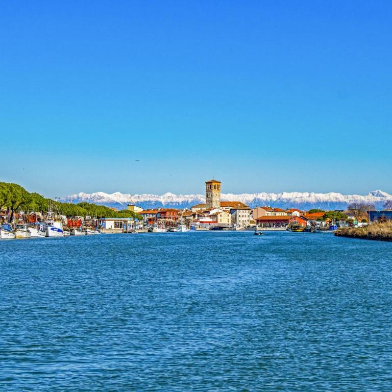 Apartment in Bibione 24409 - Appartamento - 23