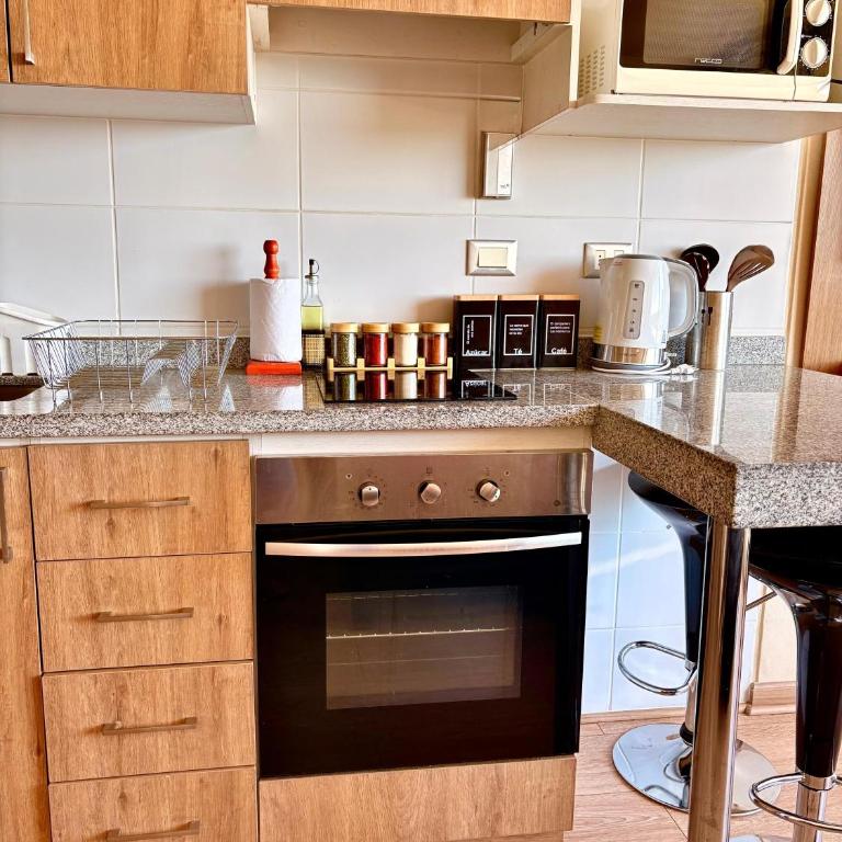 DEPARTAMENTO ACOGEDOR Y TRANQUILO en Chillán Centro, full equipado, ideal para descansar, Wifi y Estacionamiento - One-Bedroom Apartment - 45