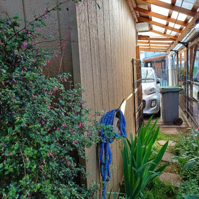 Casa FRUTILLAR - Three-Bedroom House - 24