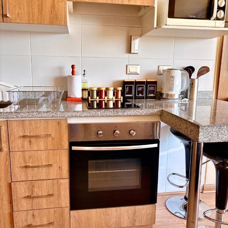 DEPARTAMENTO ACOGEDOR Y TRANQUILO en Chillán Centro, full equipado, ideal para descansar, Wifi y Estacionamiento - One-Bedroom Apartment - 31