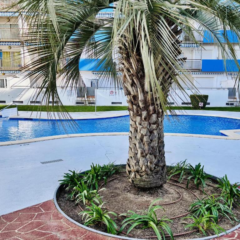 Encantador Bajo con Terraza Cerca Playa - ES-258-183 - Apartamento - 26