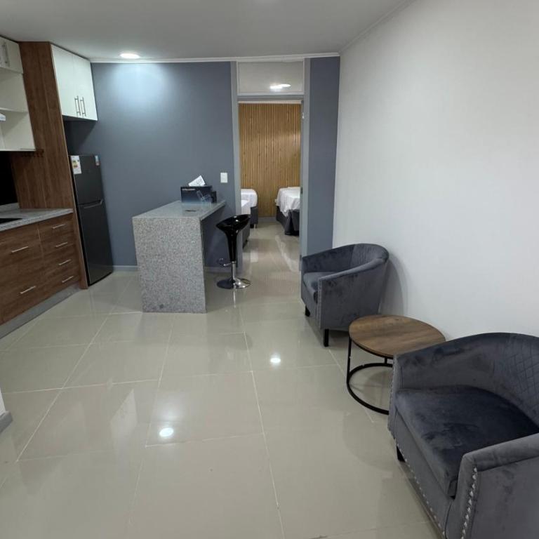 Santa Ana Central Rengo1 - One-Bedroom Apartment - 1