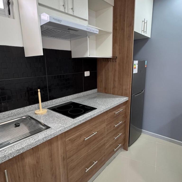 Santa Ana Central Rengo1 - One-Bedroom Apartment - 4