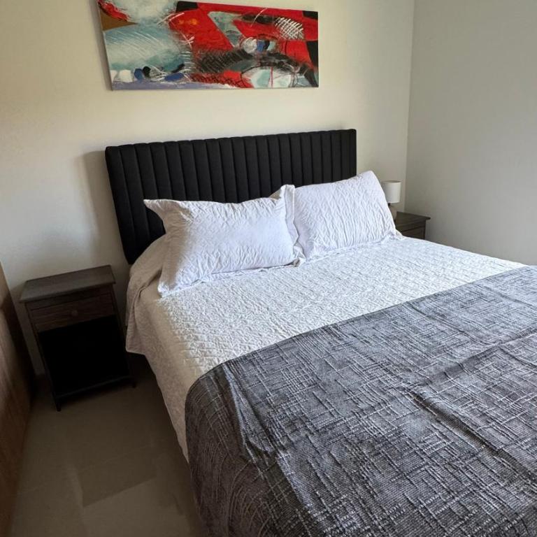 Santa Ana Central Rengo1 - Two-Bedroom Apartment - 7