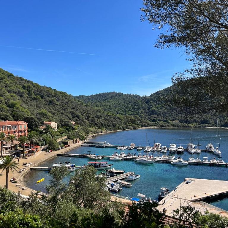 Saint Clair, la plage à pied - Habitación Doble con vistas al mar - 40
