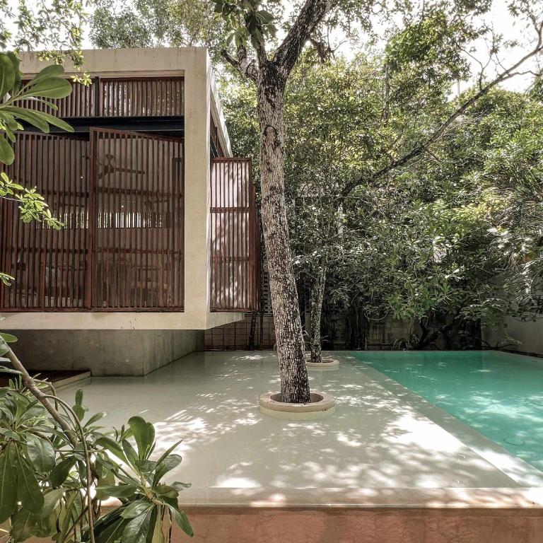 Jungle Villa infinity pool & concierge - Villa con piscina privada - 8