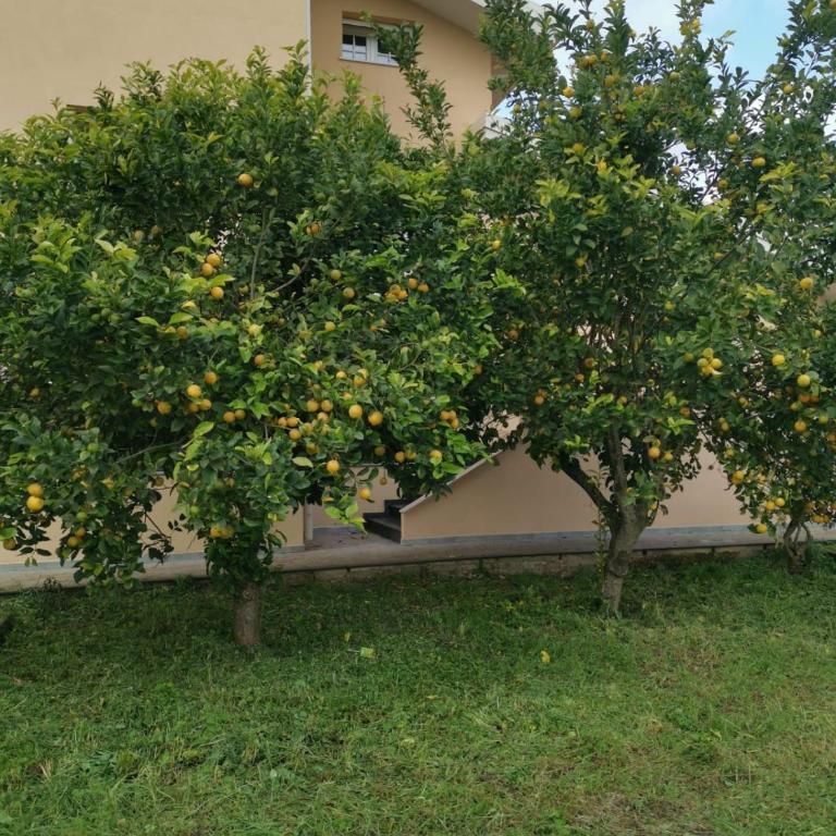 La casa di 8 - Casa Vacanze - 2