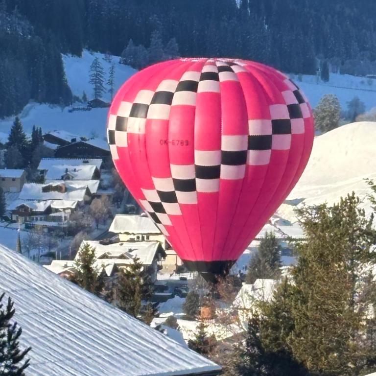 Luxury Filzmoos Chalet - Chalet mit 3 Schlafzimmern - 34