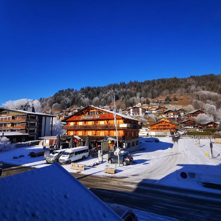 Les Gets Praz du soleil - Apartment mit 2 Schlafzimmern - 9