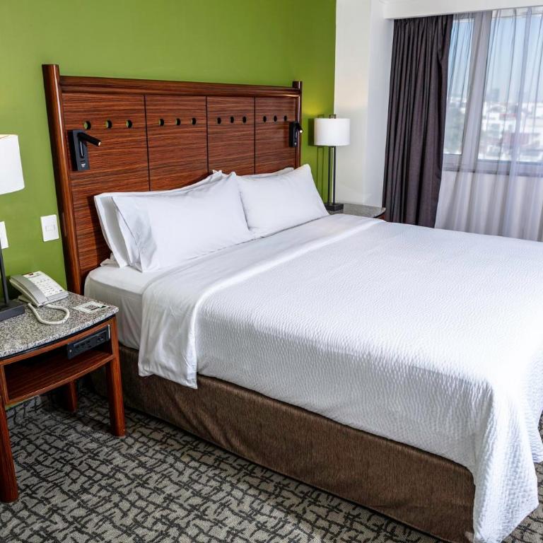 Holiday Inn Mexico City - Trade Center by IHG - Premium King Room - 2