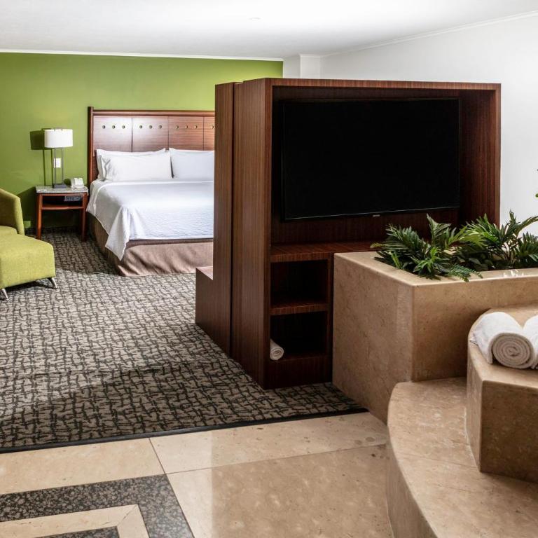 Holiday Inn Mexico City - Trade Center by IHG - One-Bedroom King Suite - 9