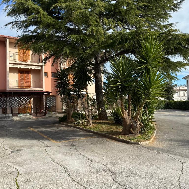 M451 - Marcelli, luminoso quadrilocale con posto auto - Three-Bedroom Apartment - 24