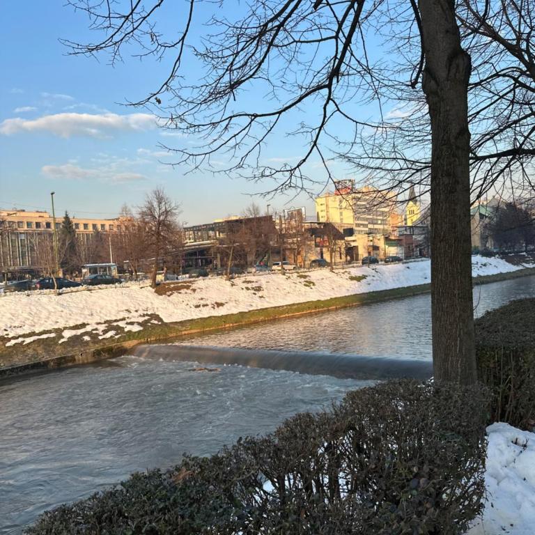 Sarajevo Cozy Spot - Apartman sa 1 Spavaćom Sobom - 11