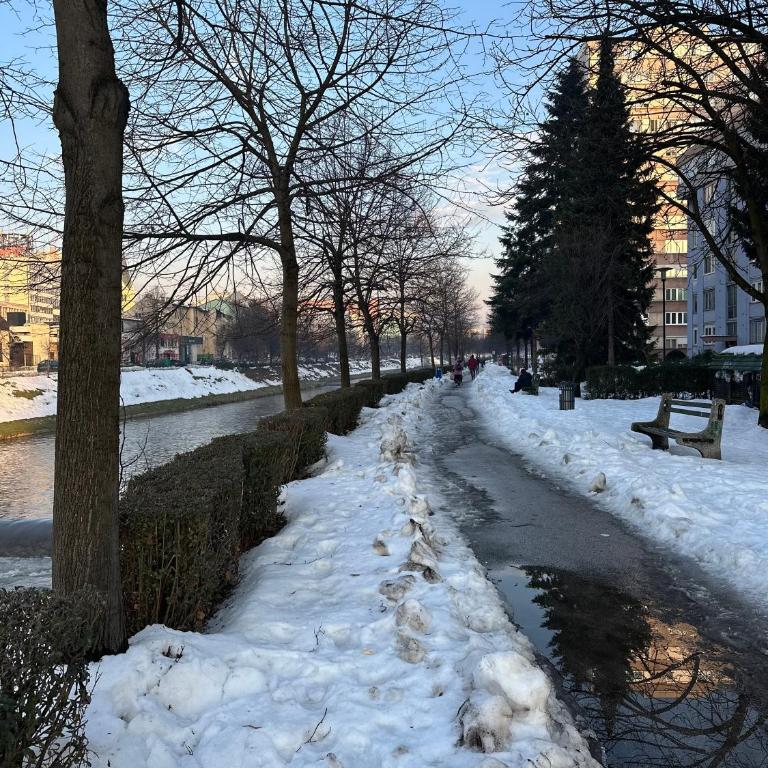 Sarajevo Cozy Spot - Apartman sa 1 Spavaćom Sobom - 10