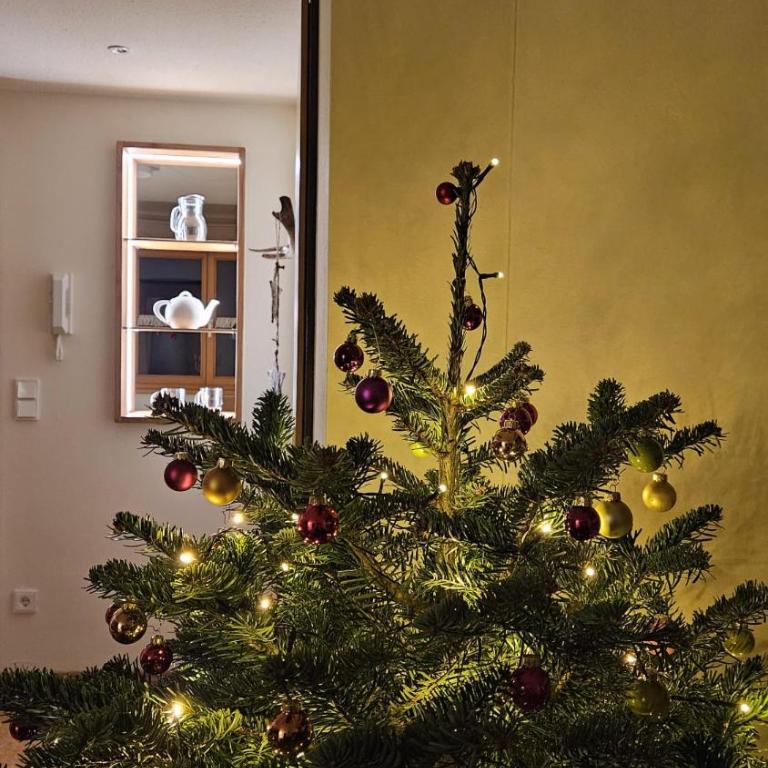 Traumplatz im Allgäu - Appartamento con 1 Camera da Letto - 21