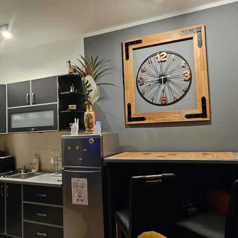 Lux Kalina freе parkig - Apartman sa 1 Spavaćom Sobom - 16