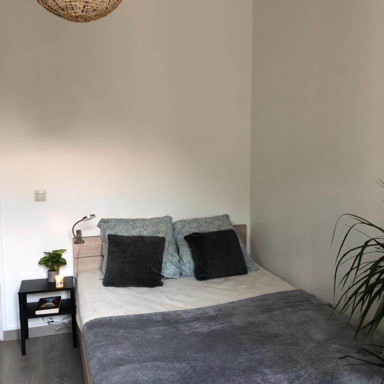 M128 Joli T3 spacieux et moderne - Appartement 2 Chambres - 5
