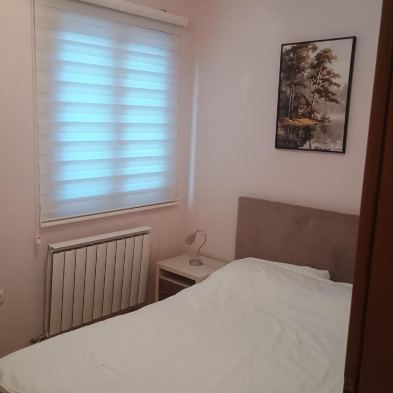 ZLATIBOR Dejan KONACI K15 Apartment 2 - Apartment - Ground Floor - 22