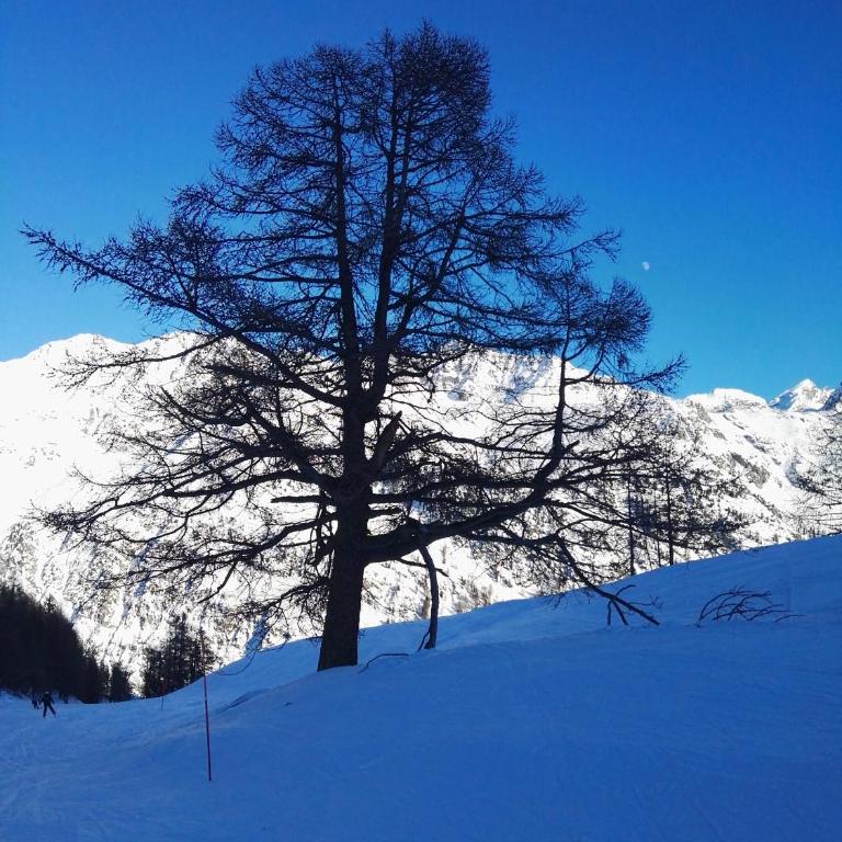Maison Sarteur Alloggio ad uso turistico -VDA-LA THUILE- 0065 - Casa Vacanze - 37