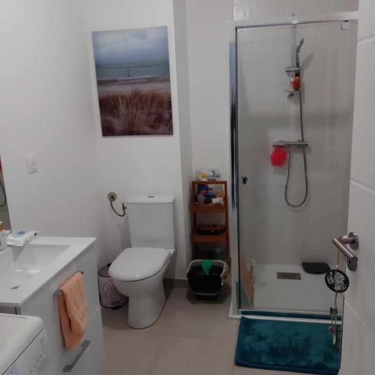 AIR PUR et LIBERTE à Berck Plage - Apartamento de 1 dormitorio - 4
