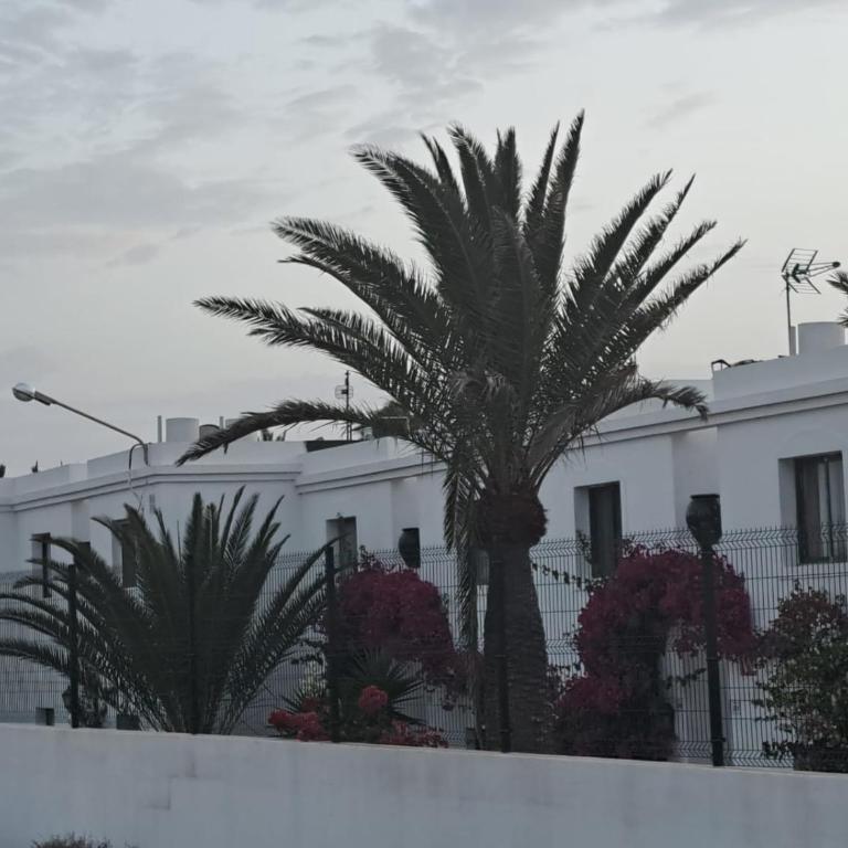 Ainely Oasis Corralejo By Canarias Prime Homes - Apartamento de 1 dormitorio - 9