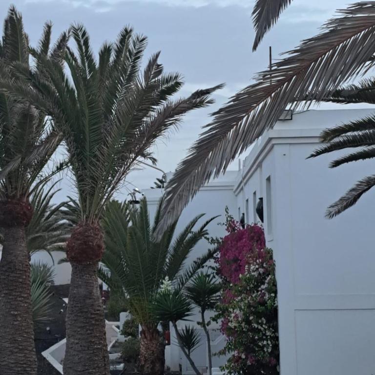 Ainely Oasis Corralejo By Canarias Prime Homes - Apartamento de 1 dormitorio - 10