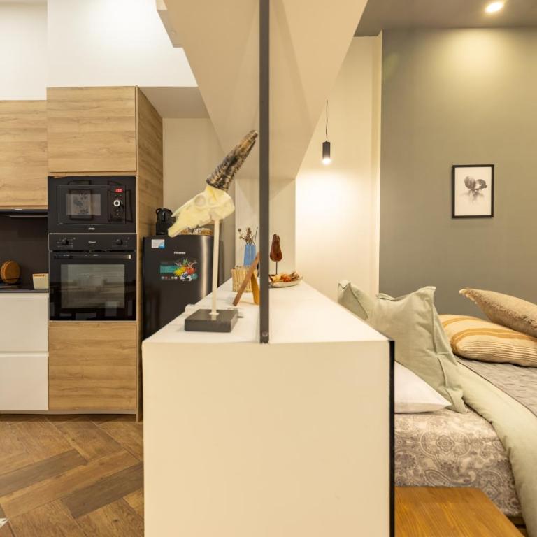 La Peregrina - One-Bedroom Apartment - 60