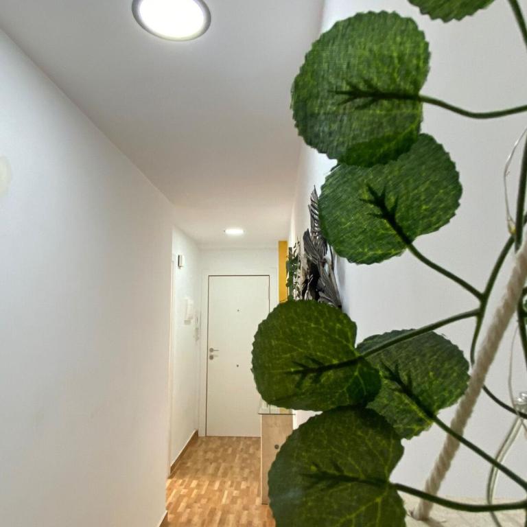 Short stay 3 bedroom Apartment, Santa Pola - Apartamento de 3 dormitorios - 6